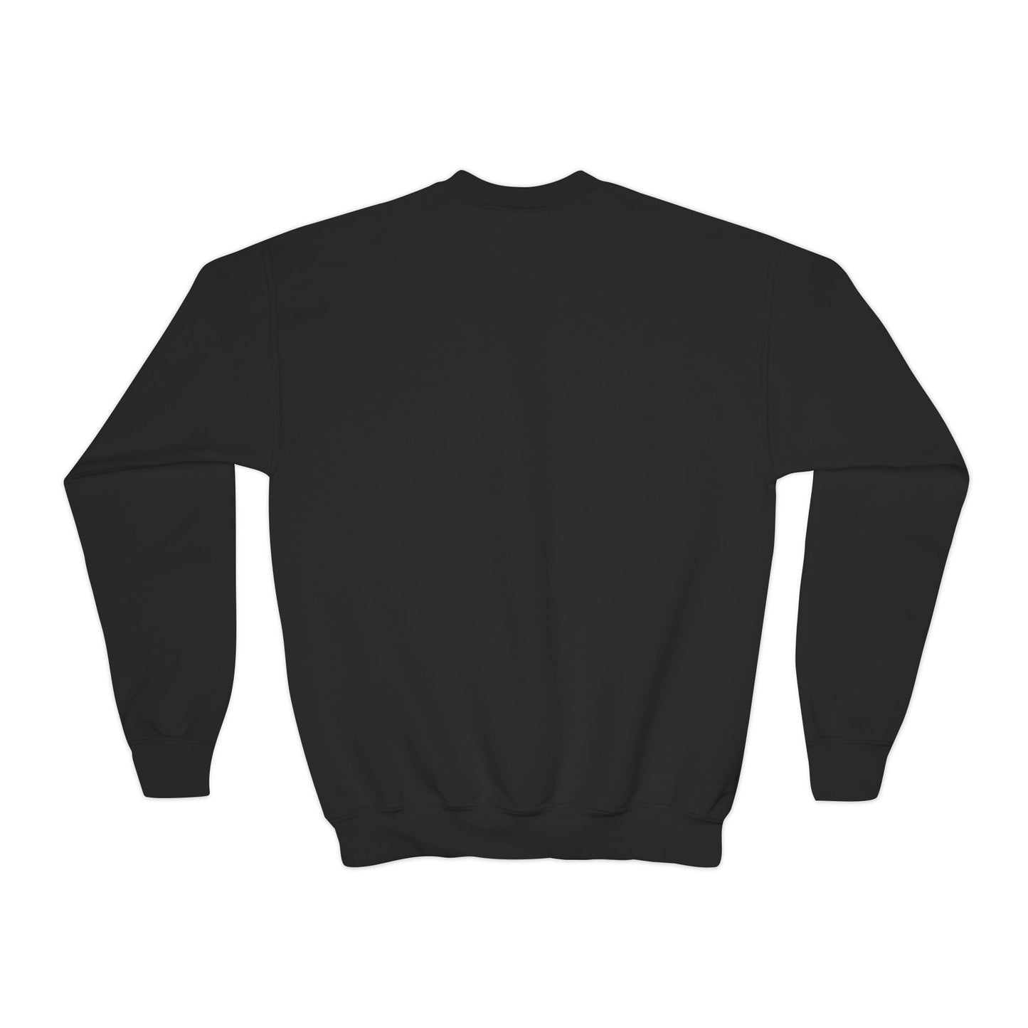 Youth Halloween Crewneck Sweatshirt, Trick or Treat Sweatshirt, Kids Halloween Apparel, Cozy Fall Fashion, Spooky Season Gift