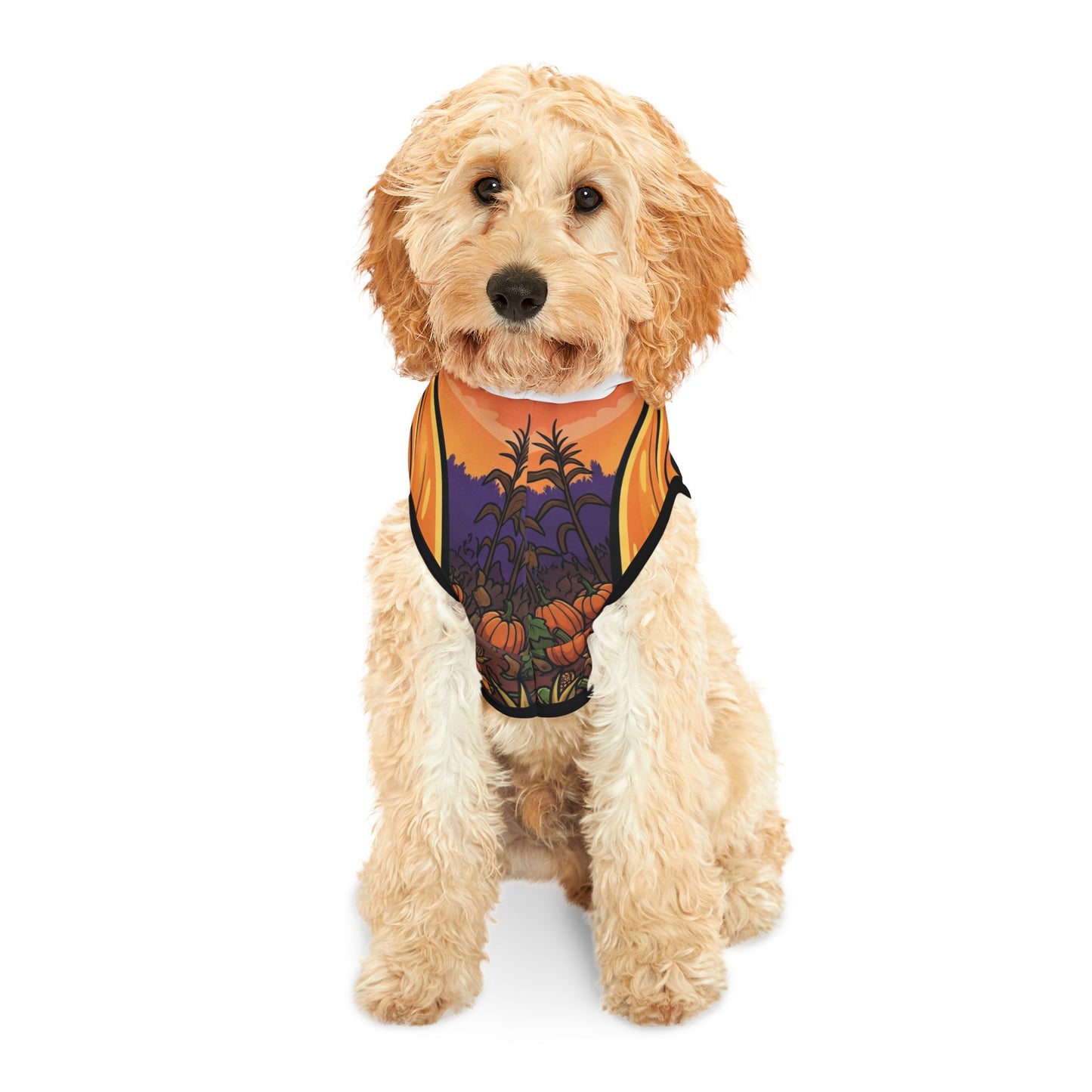 Halloween Pet Hoodie, Cute Dog Costume, Pumpkin Apparel, Spooky Pet Outfit, Pet Clothing for Fall Celebrations