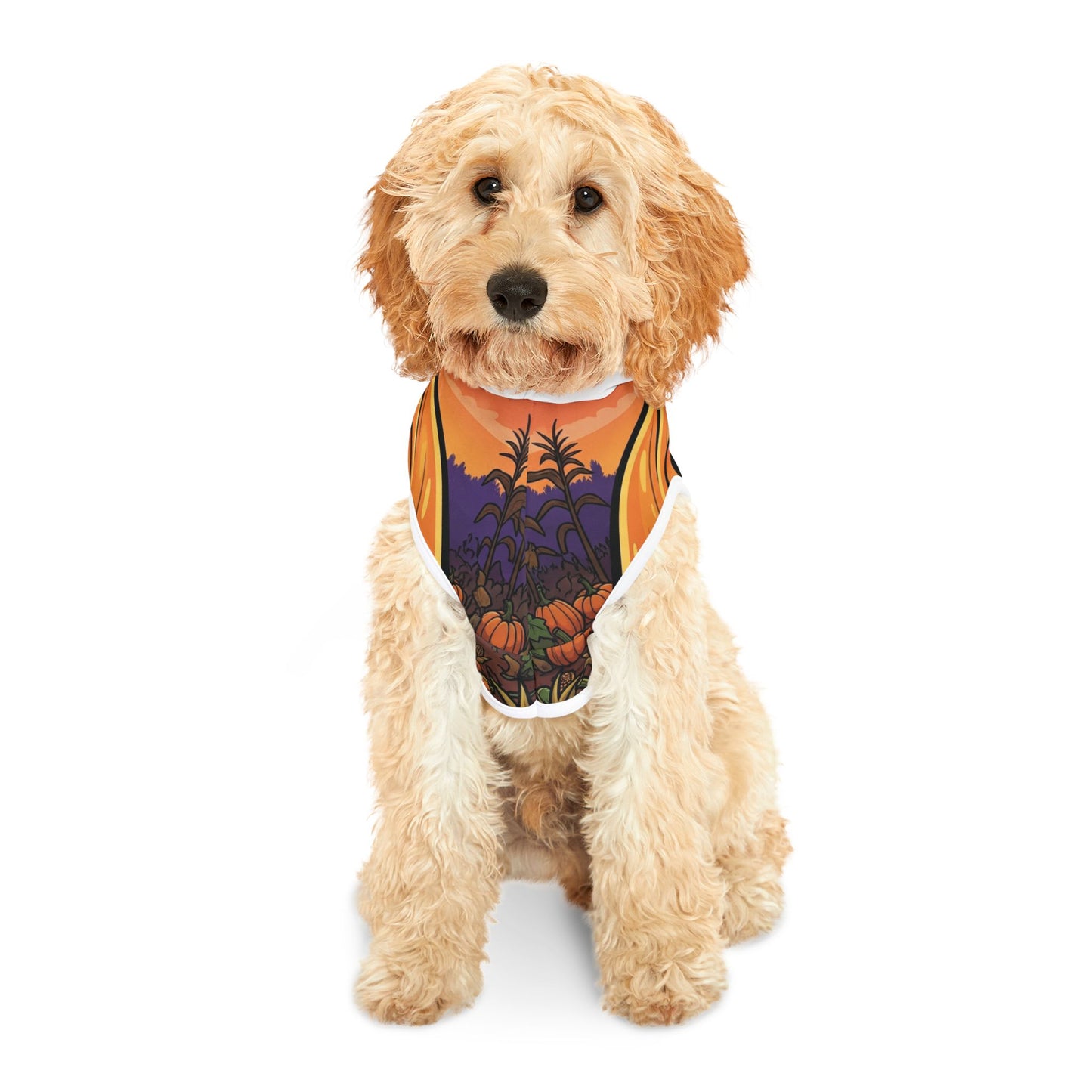 Halloween Pet Hoodie, Cute Dog Costume, Pumpkin Apparel, Spooky Pet Outfit, Pet Clothing for Fall Celebrations