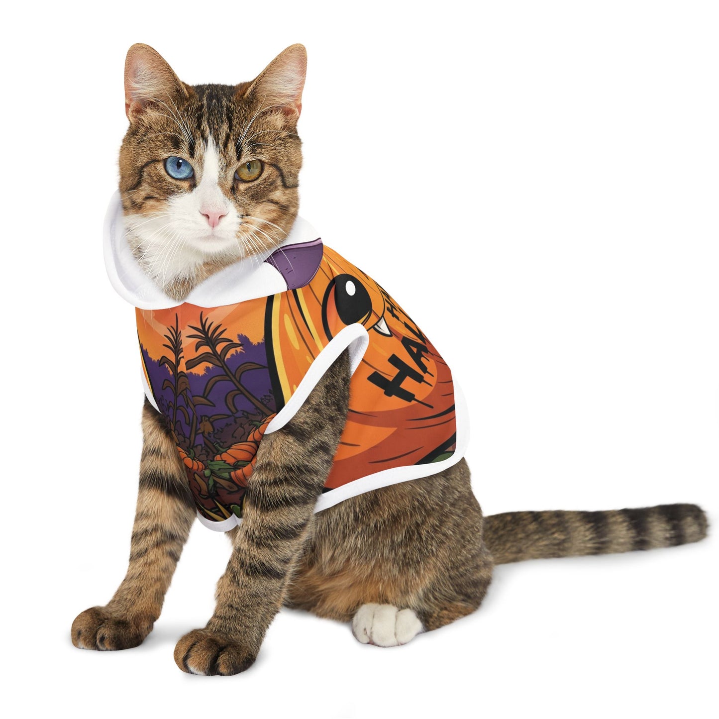 Halloween Pet Hoodie, Cute Dog Costume, Pumpkin Apparel, Spooky Pet Outfit, Pet Clothing for Fall Celebrations
